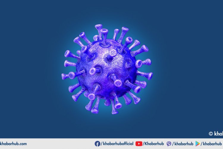 आज कुन उमेर समूहमा कति कोरोना संक्रमित थपिए रु