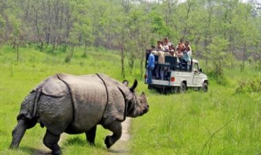 चितवन राष्ट्रिय निकुञ्जः हालसम्मकै धेरै पर्यटक भित्रिए