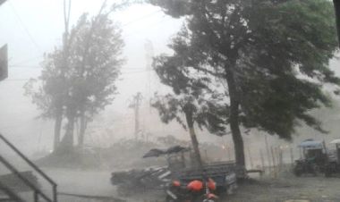 तराईमा मेघ गर्जनसहित हावाहुरी चल्दा अन्नबालीमा असर