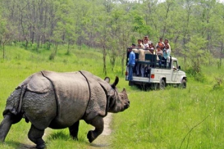 चितवन राष्ट्रिय निकुञ्जः हालसम्मकै धेरै पर्यटक भित्रिए