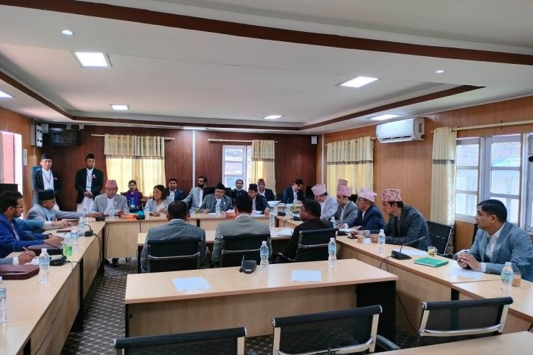 कार्यव्यवस्था समितिको बैठक सुरू