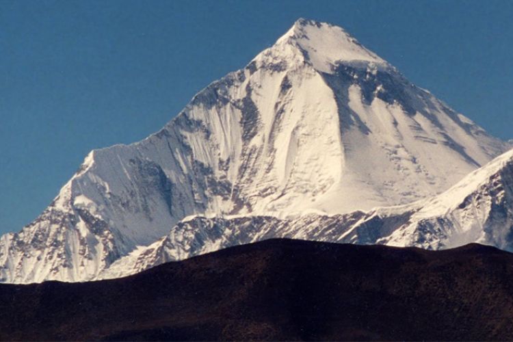 धौलागिरी हिमालमा  सात महिना पछि भेटियो लामाको शव