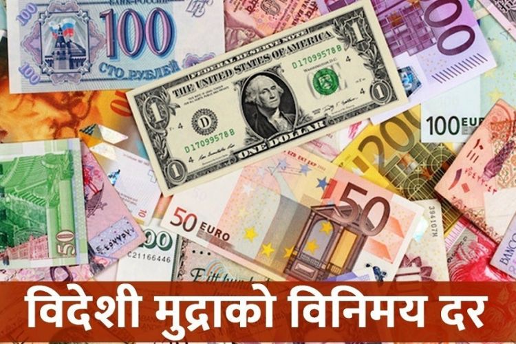 आजको विदेशी मुद्राको विनिमय दर, डलरको भाउ १३१.९६ रुपैयाँ पुग्यो