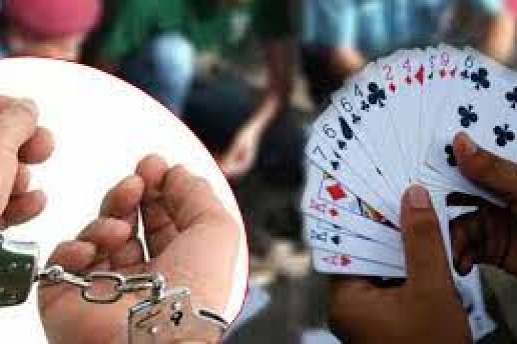 जुवातास खेलिरहेको अवस्थामा १२ जना पक्राउ
