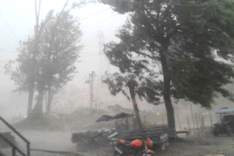 तराईमा मेघ गर्जनसहित हावाहुरी चल्दा अन्नबालीमा असर