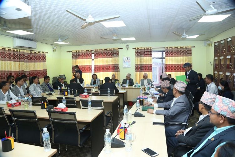 सुनुवाइ समितिका सदस्यलाई बैठकमा समय पालना गर्न अध्यक्ष तिमिल्सिनाको आग्रह