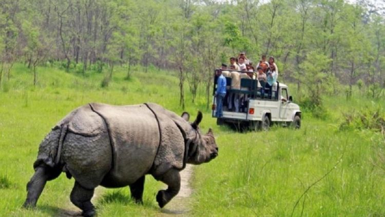 चितवन राष्ट्रिय निकुञ्जः हालसम्मकै धेरै पर्यटक भित्रिए