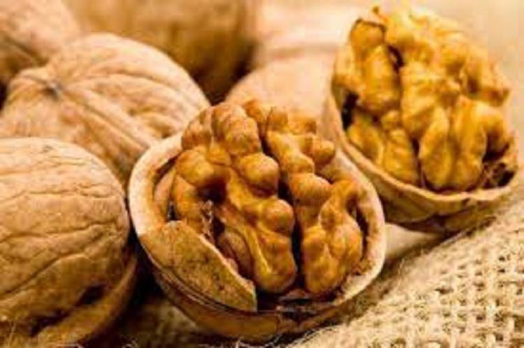 गर्मीमा ओखर खानुको ७ फाईदाबारे जान्नुहोस् !