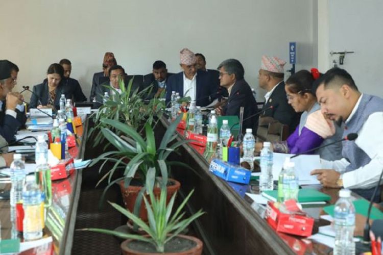 गभर्नर र धितोपत्र बोर्डका अध्यक्षलाई छलफलमा बोलाउने अर्थ समितिको निर्णय