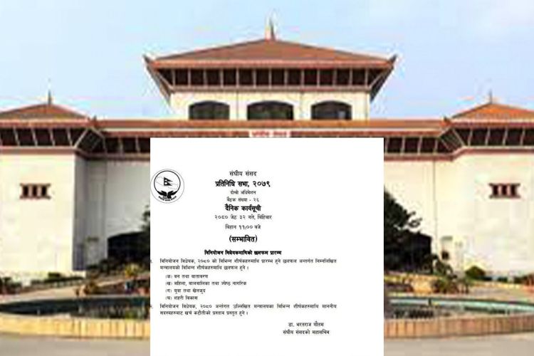 प्रतिनिधिसभा बैठकमा बजेटमाथि मन्त्रालयगत छलफल हुँने
