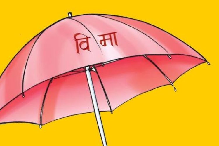 पैसा पाउने सहमतिपछि कृषि बिमालेख बिक्री पुनः सुरु