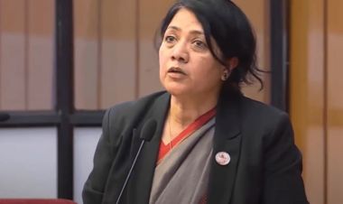 विधेयकमाथि विज्ञ र सरोकारवालाहरुसँग गम्भीर छलफल गर्न आवश्यक छ : विमला राई पौडेल