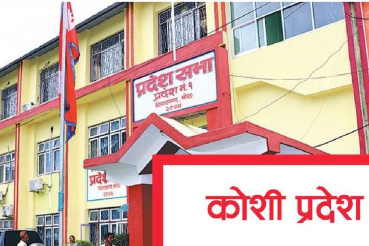 कोशी प्रदेश सरकारविरुद्धको रिट सुष्मालता माथेमाको इजलासमा