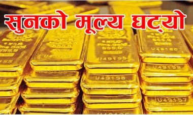 घट्यो सुनको भाउ, आज कति छ ?