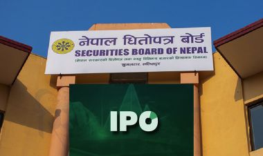 आईपीओ अनुमति पर्खेर बस्ने रियल सेक्टरका कम्पनी धेरै, अरु समूहका कति छन् ?