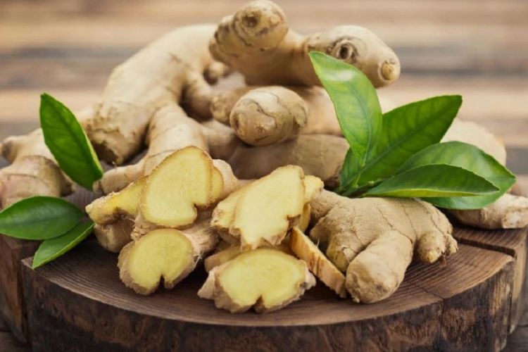 मानव स्वास्थ्यका निकै लाभदायक अदुवा