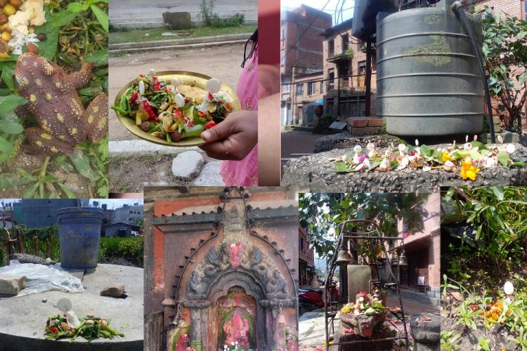 भक्तपुरका भ्यागुतालाई भोज (फोटो फिचर)
