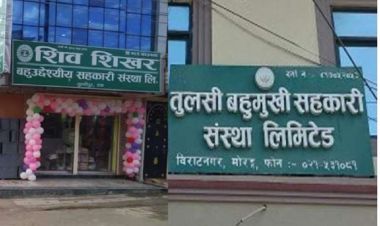 शिवशिखर र तुलसी बहुमुखी सहकारी समस्याग्रस्त घोषित  