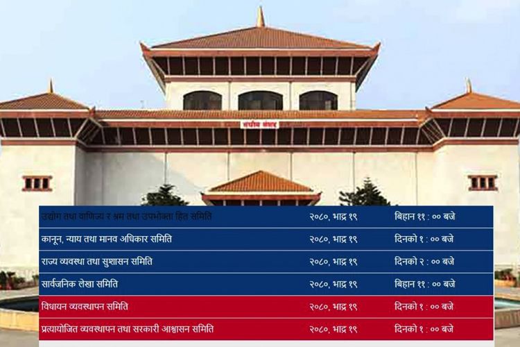 सक्रिय भए संसदीय समिति, आज मात्रै पाँचवटा समितिको बैठक