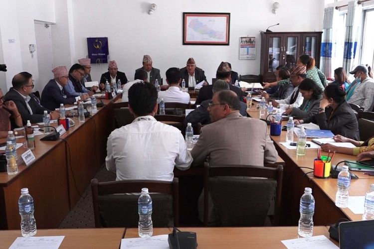 चिकित्सकमाथि हातपात गर्नेलाई कारबाही गर्न समितिको निर्देशन