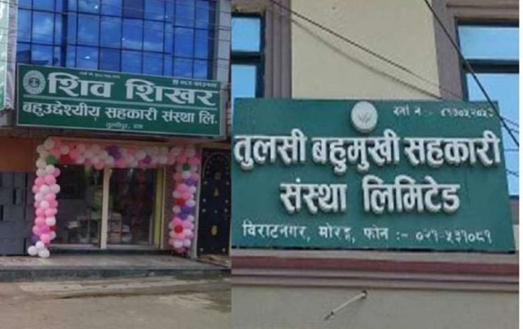 शिवशिखर र तुलसी बहुमुखी सहकारी समस्याग्रस्त घोषित  