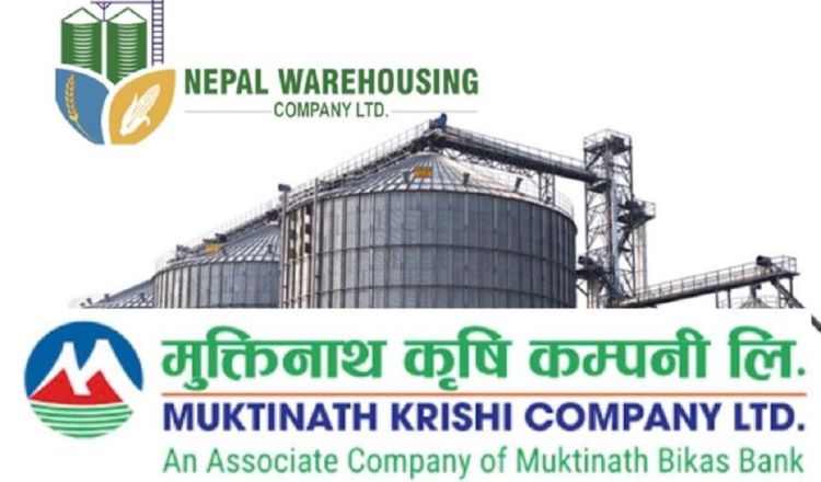 नेपाल वेयर हाउजिङ्ग र मुक्तिनाथ कृषि कम्पनीको आइपिओमा मागभन्दा अधिक आवेदन