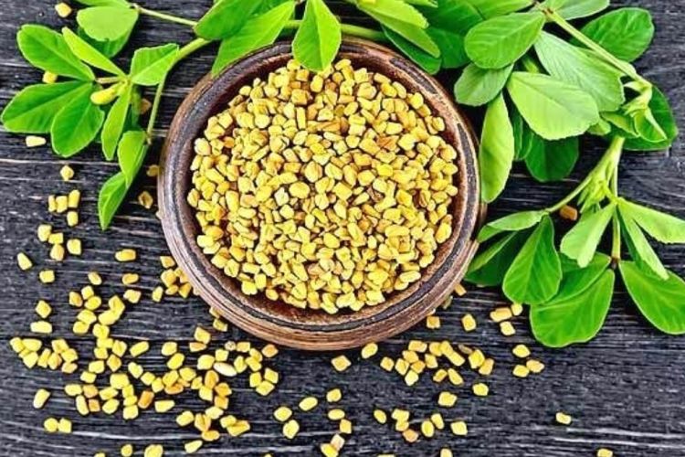 मेथि खानुका अचुक फाईदाहरु, एक पटक अवस्य पढ्नुहोला
