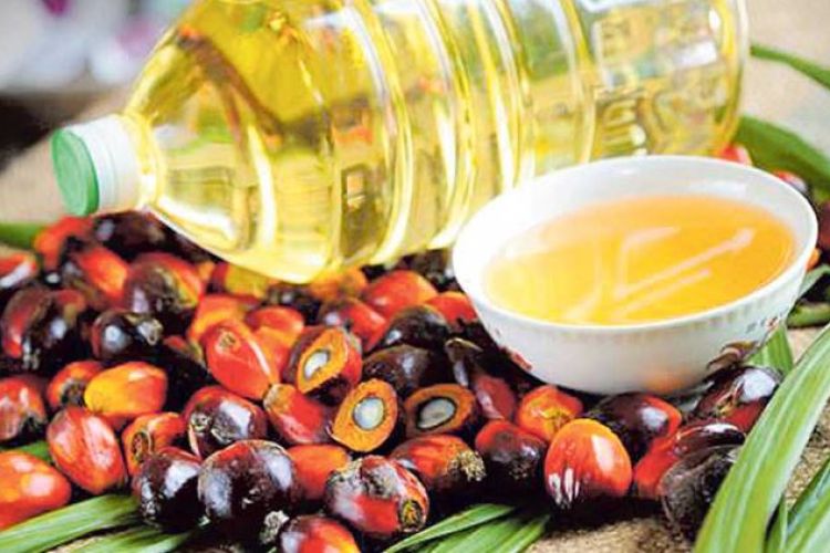 सुस्तायो पाम र भटमासको तेलको समग्र व्यापार
