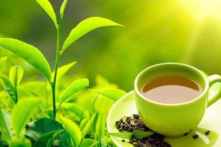 नेपालले ७ अर्ब रुपैयाँको चिया तथा कफी निर्यात गर्यो