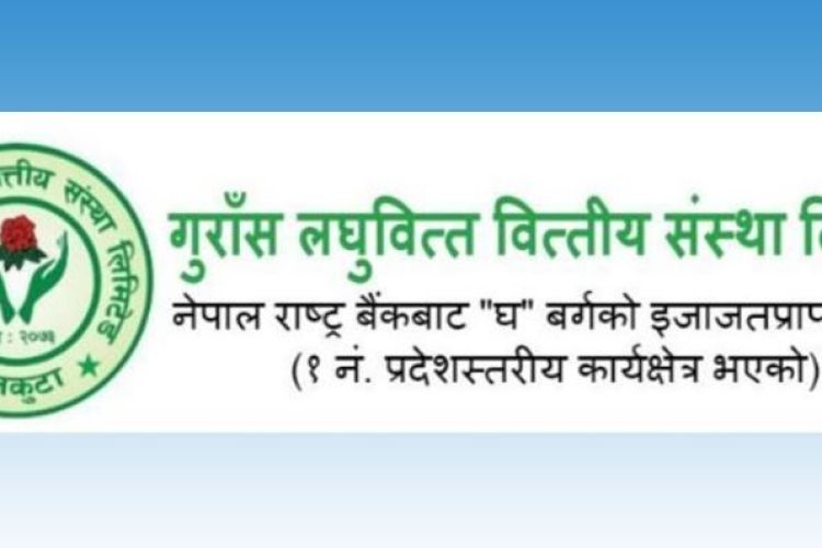 पहिलो त्रैमाससः बढ्यो गुराँस लघुवित्तको नाफा
