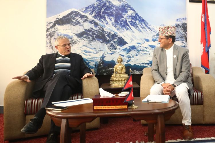 विपीन जोशीको रिहाइका लागि सार्थक पहल गर्न अध्यक्ष तिमिल्सिनाको आग्रह