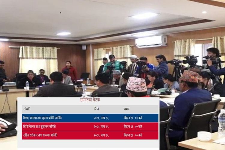 संङघीय संसदका तीन समितिको बैठक आज बस्दै, यस्तो छ कार्यसूची