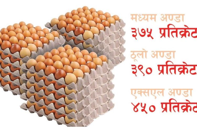 तोकियो अण्डाको बिक्री मूल्य, कसको कति ?