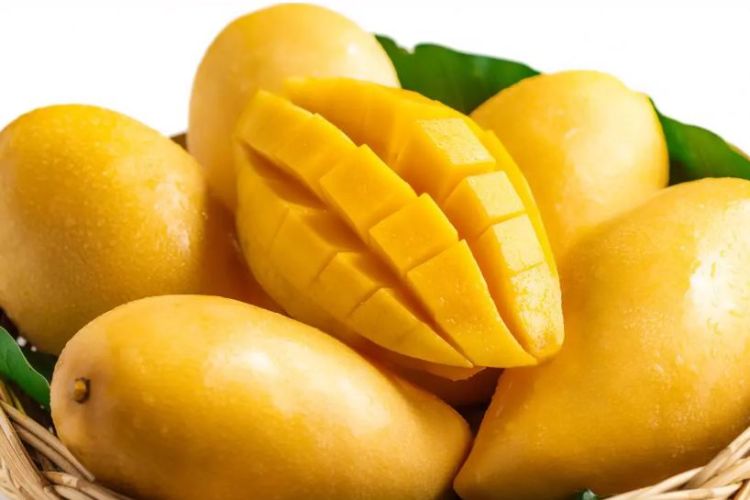 आँप खानुअघि पानीमा भिजाउनु किन जरुरी छ ?