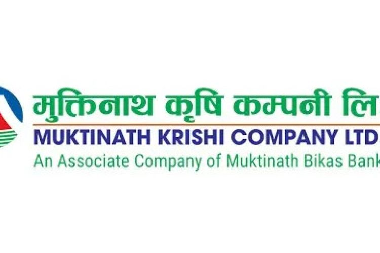  मुक्तिनाथ कृषि कम्पनीको  सेयरको लकइन अवधि आजबाट सकिँदै
