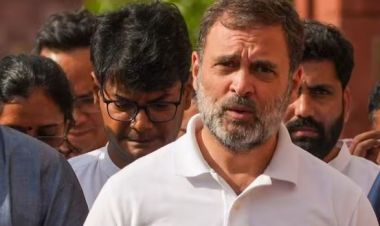 सेयरबाट मासिक १४ लाख भन्दा बढी कमाउँछन् राहुल गान्धी 