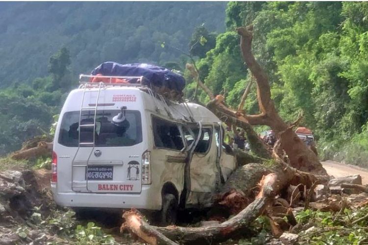 गुडिरहेको माइक्रो बसमाथि रुख ढल्यो, ७ जना घाइते