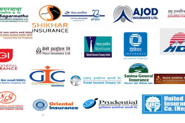 निर्जीवन बीमा कम्पनीको मुनाफा उत्साहप्रद वृद्धि, कुनको कति ?