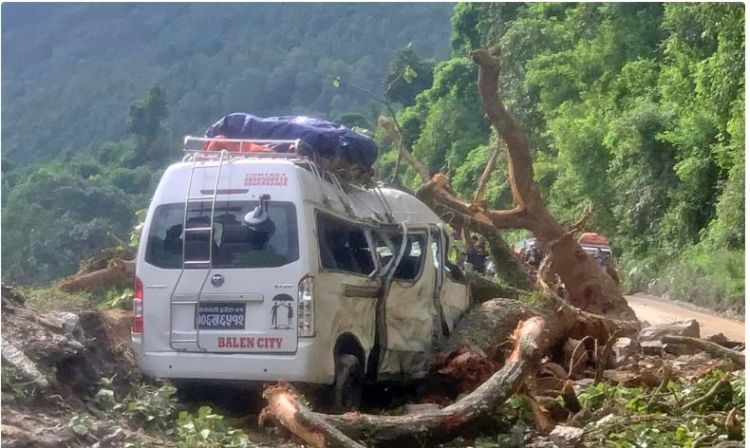 गुडिरहेको माइक्रो बसमाथि रुख ढल्यो, ७ जना घाइते