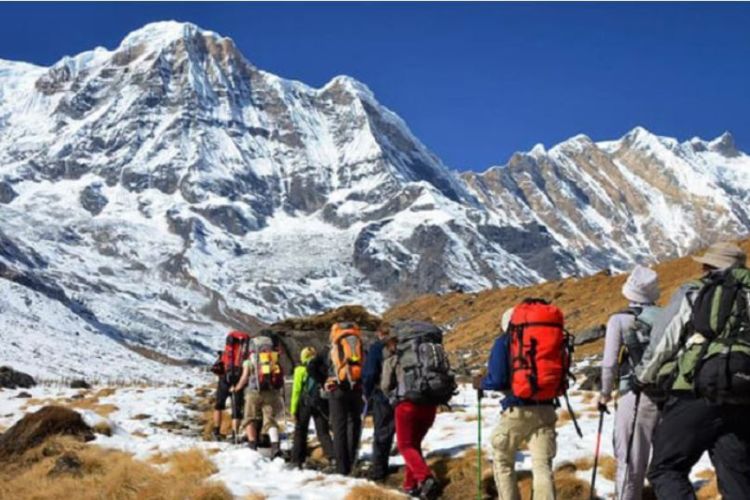अन्नपूर्ण पदमार्गमा पर्यटकको चहलपहल सुरु