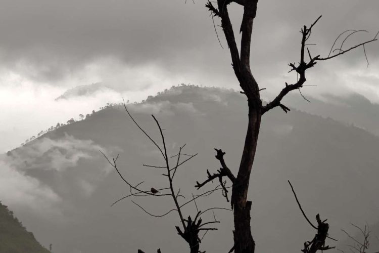 आजको मौसम पूर्वानुमानः पहाडी भू–भागका एक÷दुई स्थानमा वर्षाको सम्भावना