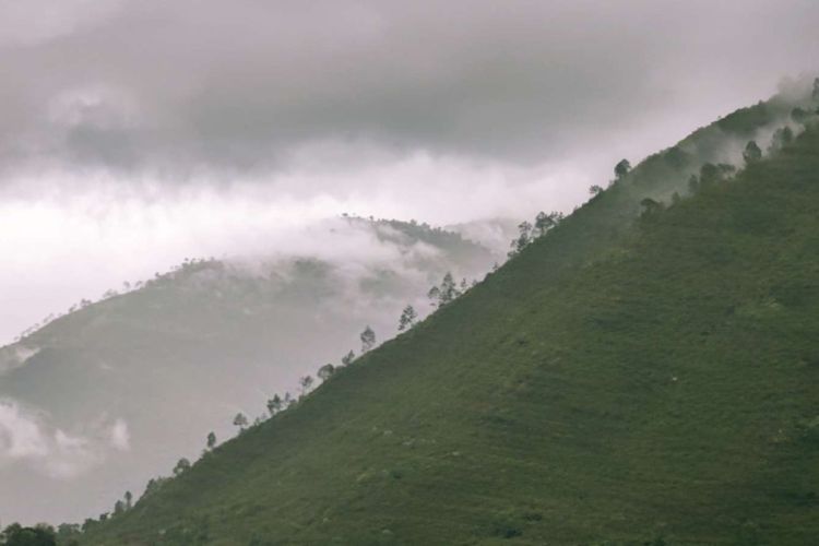  यस्तो छ,आजको मौसम, हाल देशमा पश्चिमी वायुको सामान्य प्रभाव 
