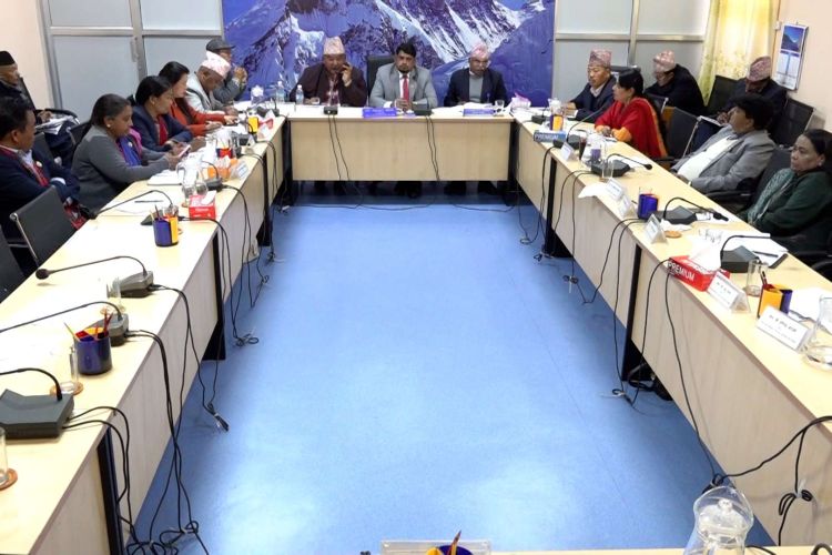   ‘मेडिकल र निर्माण व्यवसायी सम्बन्धि कानुन चाँडै निर्माण गरिने’