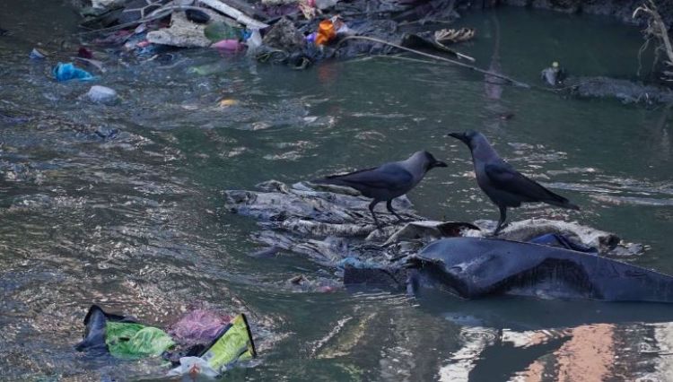 सिंहदरबारस्थित टुकुचा खोलामा थुप्रिएको फोहोर र ढल 