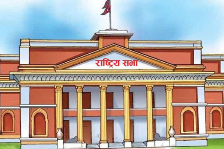 भारतका विश्वविद्यालयमा नेपाली विद्यार्थी असुरक्षित भएकै हुन् त ?