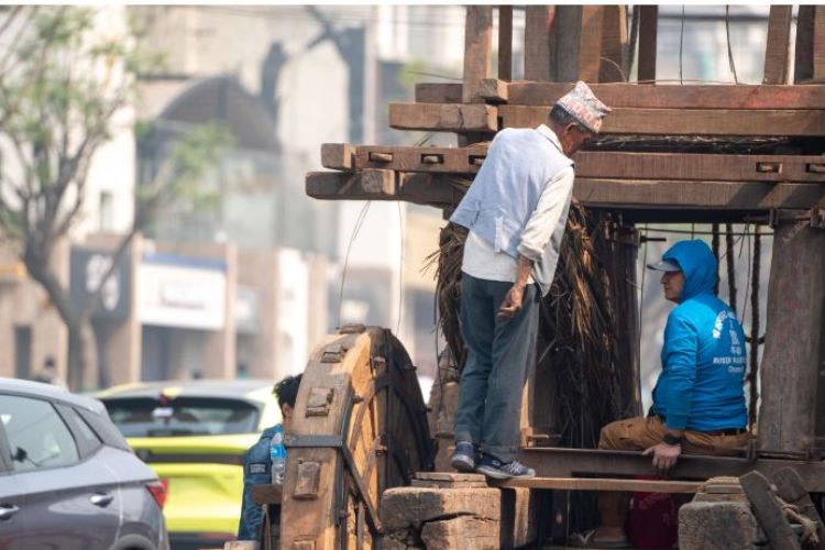 सेतो मच्छिन्द्रनाथ रथ निर्माण कार्य सुरु, यसरी हुँदैछ निर्माण कार्य