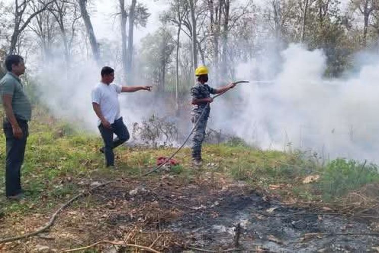 रौतहटका वन जङ्गलमा डढेलोको प्रकोप, जोखिममा मानव बस्ती 