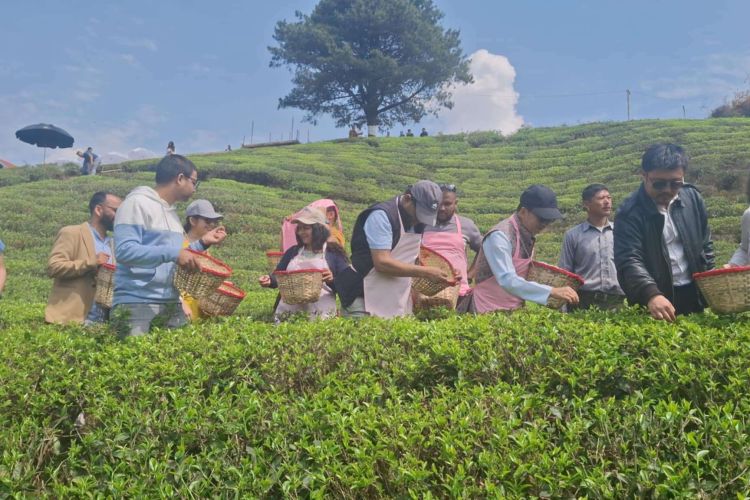 चिया टिप्दै १५ देशका कूटनीतिज्ञहरु, ‘पर्यटन दूत’ बन्न मन्त्रीको आग्रह