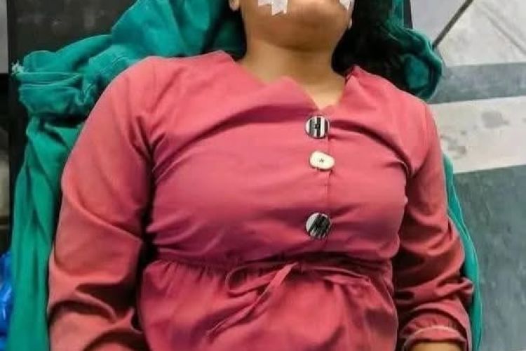 पत्रकार कार्कीमाथि हमला गर्नेलाई कारबाही गर्न प्रेस चौतारीको माग