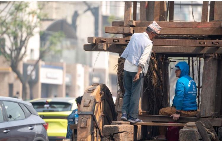 सेतो मच्छिन्द्रनाथ रथ निर्माण कार्य सुरु, यसरी हुँदैछ निर्माण कार्य